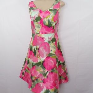 Donna Ricco Beautiful Watercolor Dress, Sz 4
